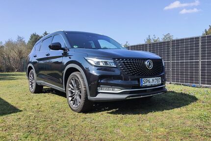 DFSK Fengon 7 33.000 km 21.000 &euro; Forst (Lausitz) 03149