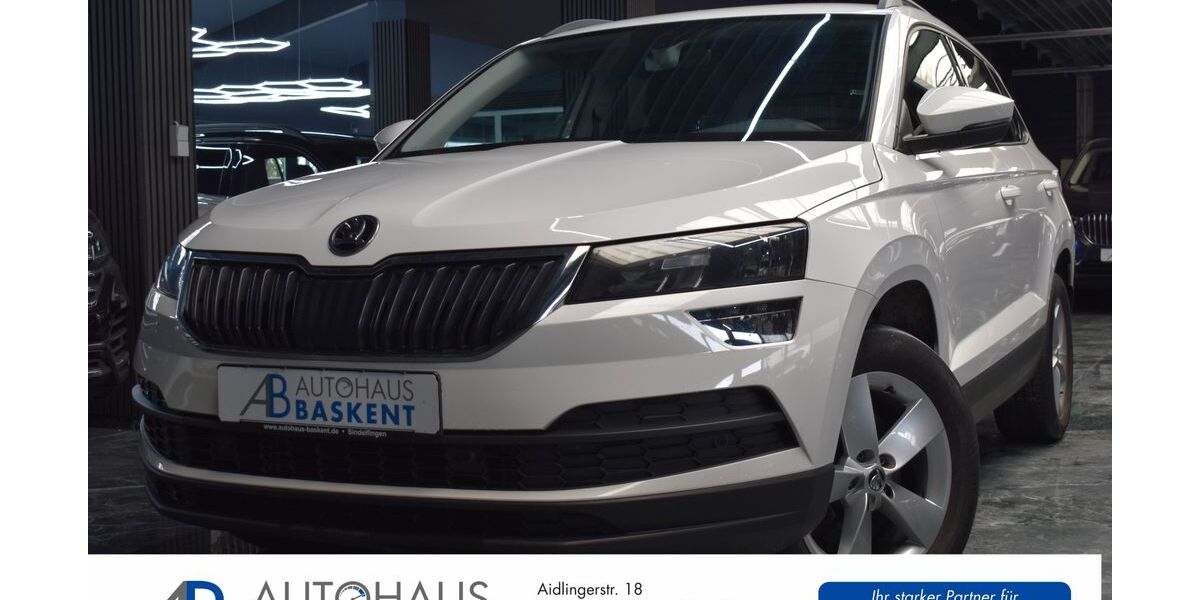 Skoda Karoq 160.300 km 18.890 &euro; Sindelfingen-Darmsheim 71069