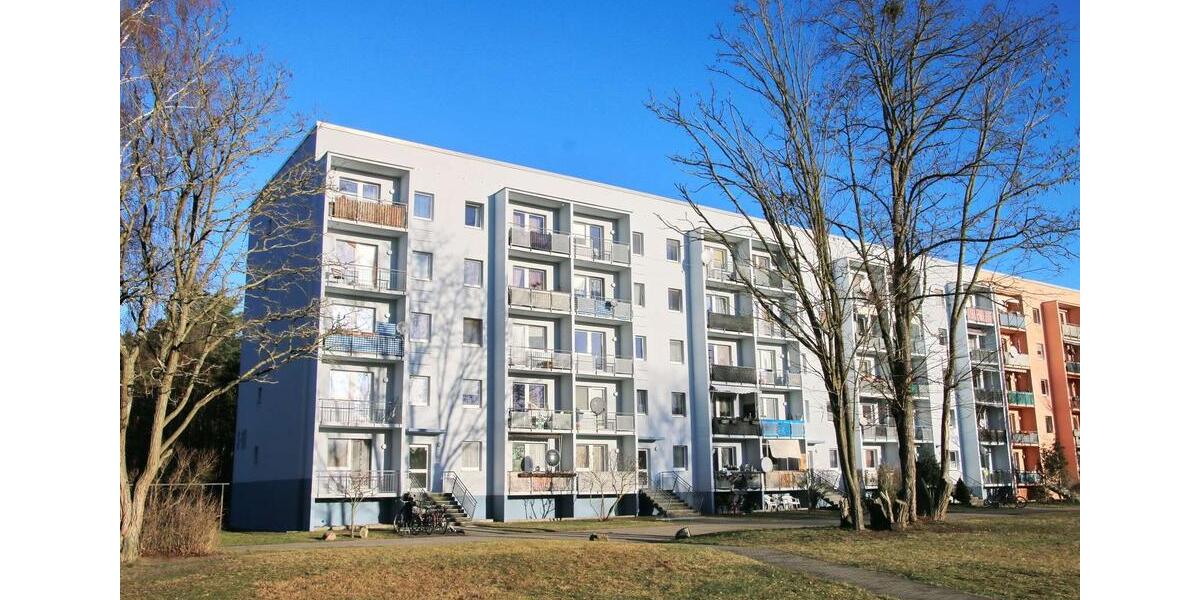 Waldesruh - frisch renovierte 4-Zimmer-Wohnung mit viel Raum zum Wohlfühlen 4 zimmer