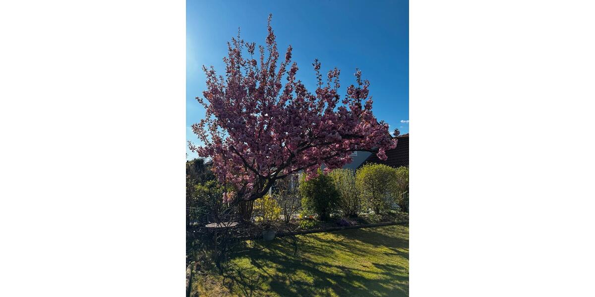 Einfamilienhaus Moosburg an der Isar - 6 Zimmer, 133 m&sup2;, 825.000&euro; | Angebot:26862908