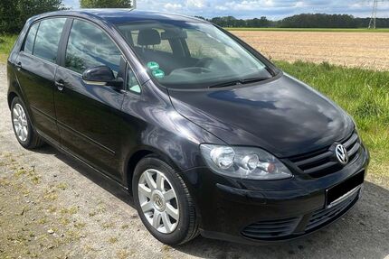 VW Golf Plus 272.263 km 2.600 &euro; Wallenhorst 49131