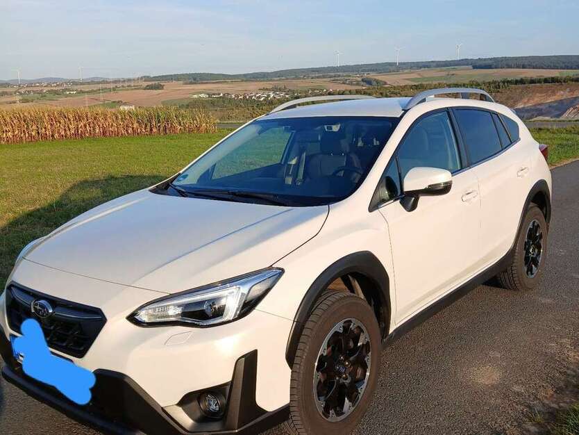 XV