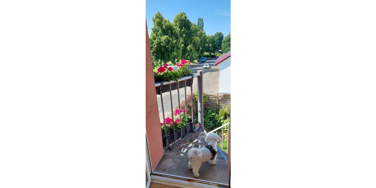 Einfamilienhaus Emmerthal - 13 Zimmer, 290 m&sup2;, 275.000&euro; | Angebot:26416222