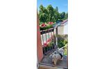 Einfamilienhaus Emmerthal - 13 Zimmer, 290 m&sup2;, 275.000&euro; | Angebot:26416222