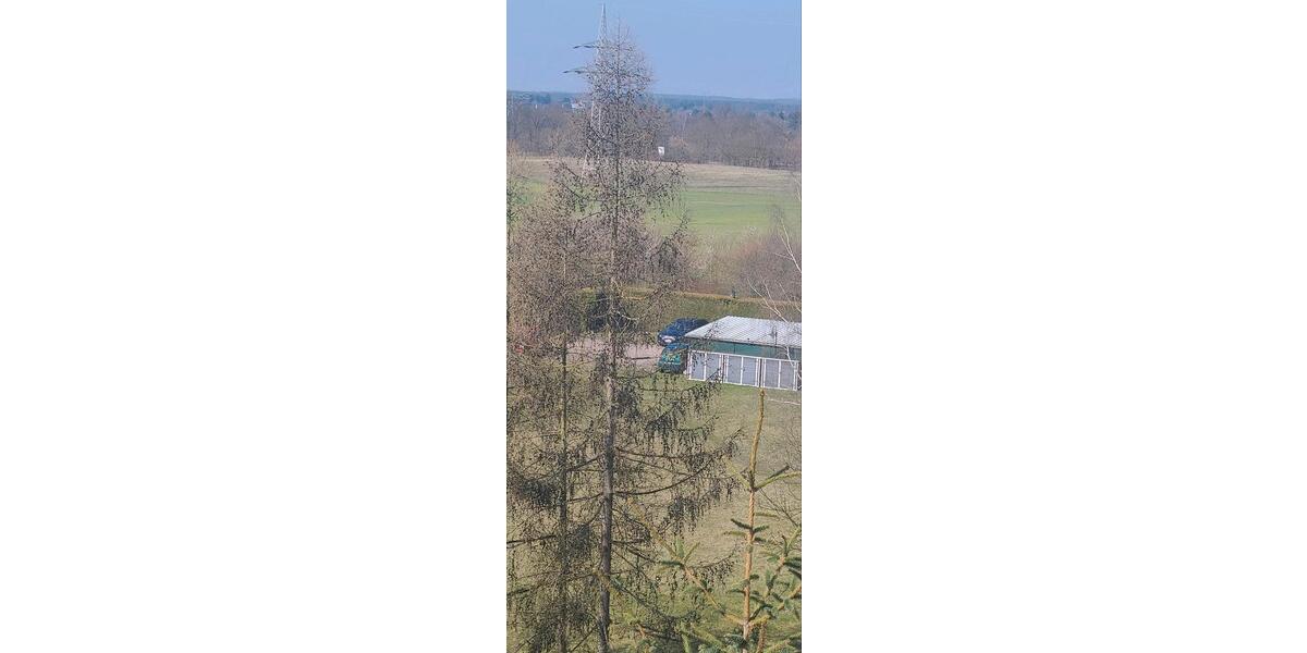 Etagenwohnung Wittenberg Lutherstadt - 1 Zimmer, 49 m&sup2;, 36.000&euro; | Angebot:26322647