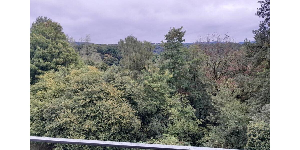 reizende 1 Zimmerwohnung in Vallendar mit Balkon und Einbauküche 1 zimmer