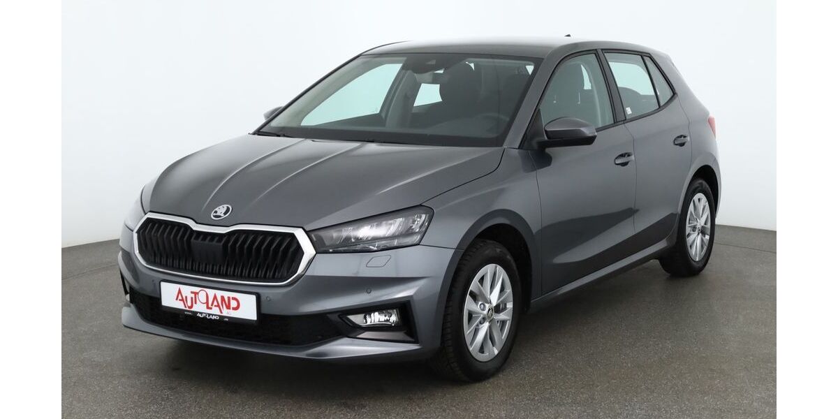 Skoda Fabia 11.241 km 20.890 &euro; Köthen 06366