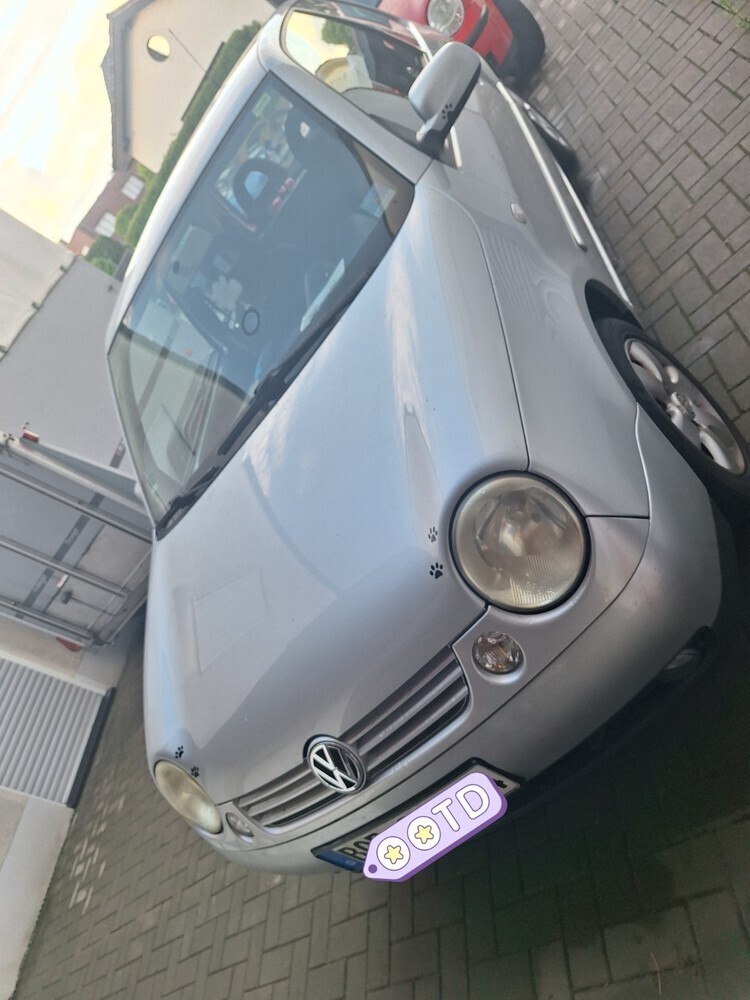 Lupo
