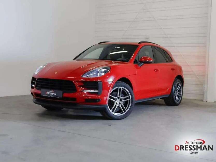 Macan
