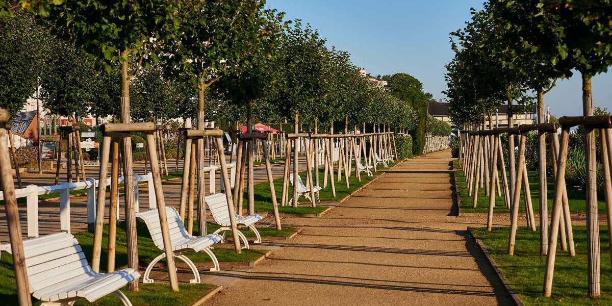 Grundstück zu verkaufen in Benz Bansin 189.000 € 904 m² zimmer