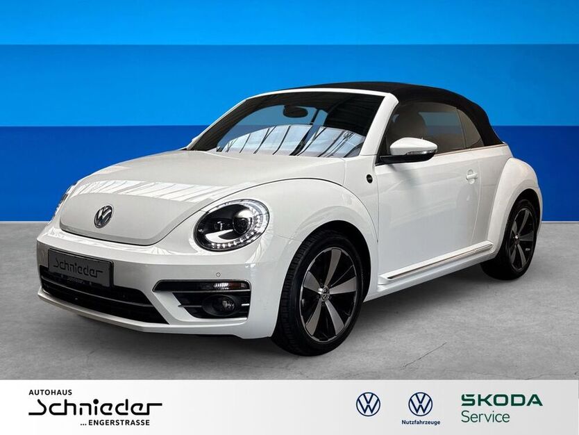 Beetle