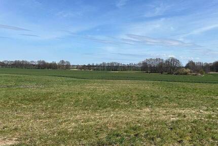 Ruhig gelegenes Baugrundstück in Friedrichshagen bei Greifswald zimmer
