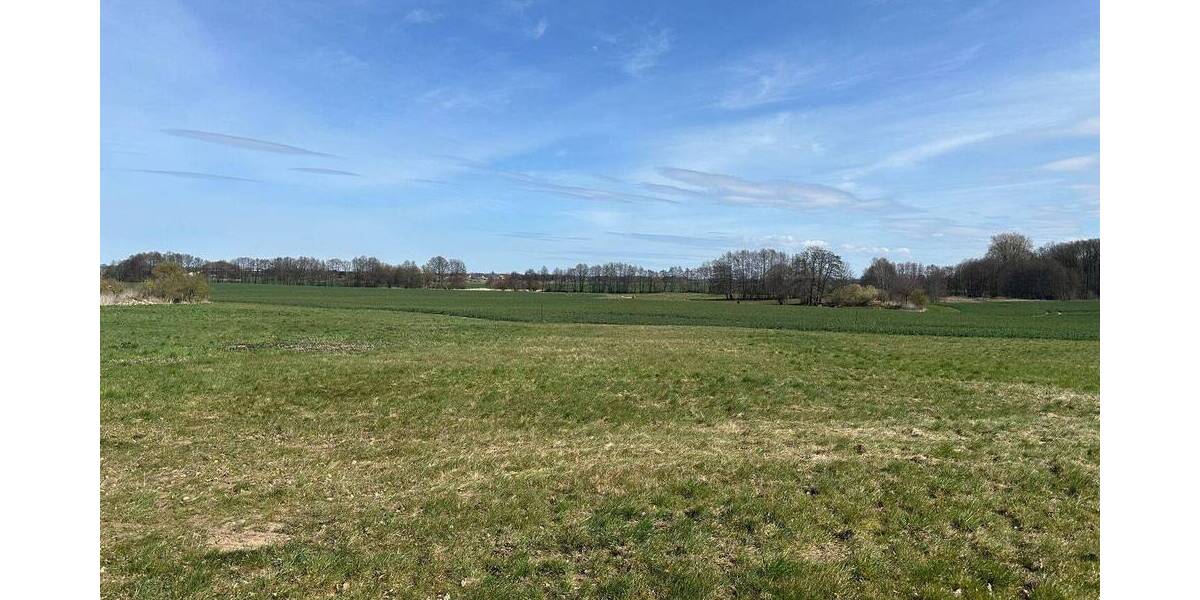 Ruhig gelegenes Baugrundstück in Friedrichshagen bei Greifswald zimmer