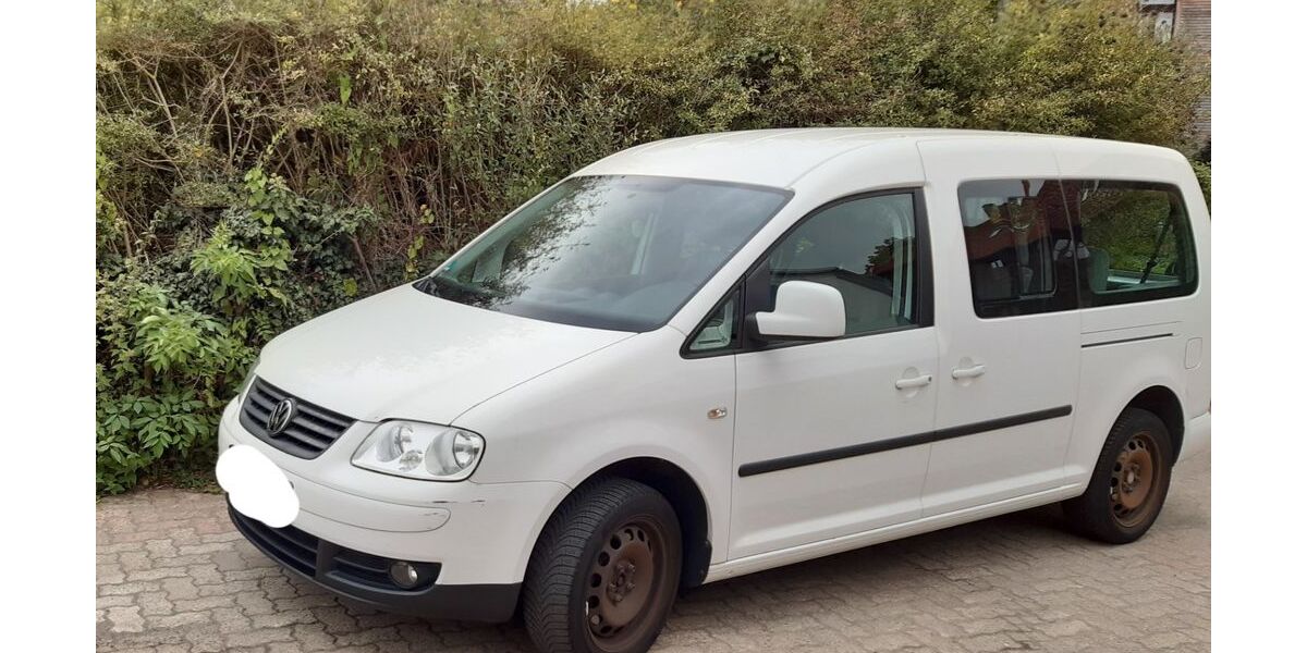 VW Caddy Maxi 278.000 km 7.990 &euro; Wolfenbüttel 38302