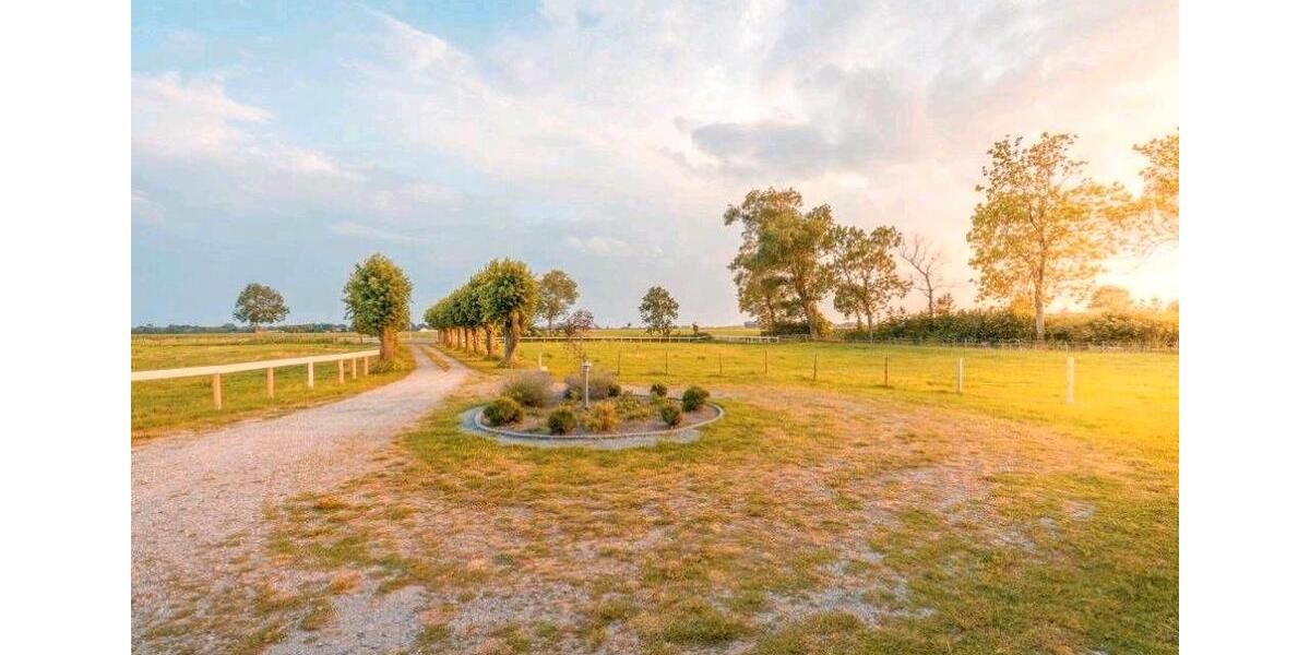 Einfamilienhaus Neuhaus (Oste) - 8 Zimmer, 310 m&sup2;, 395.000&euro; | Angebot:27028550