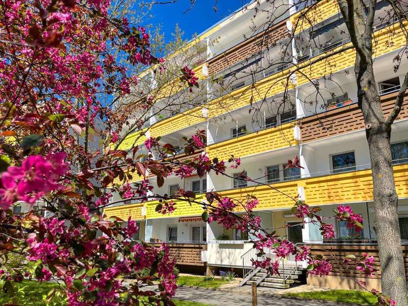 Wohnung zum Mieten in Zwickau 238 € 41 m²