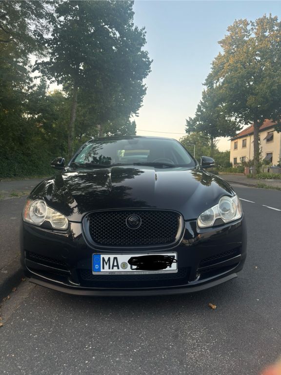 XF