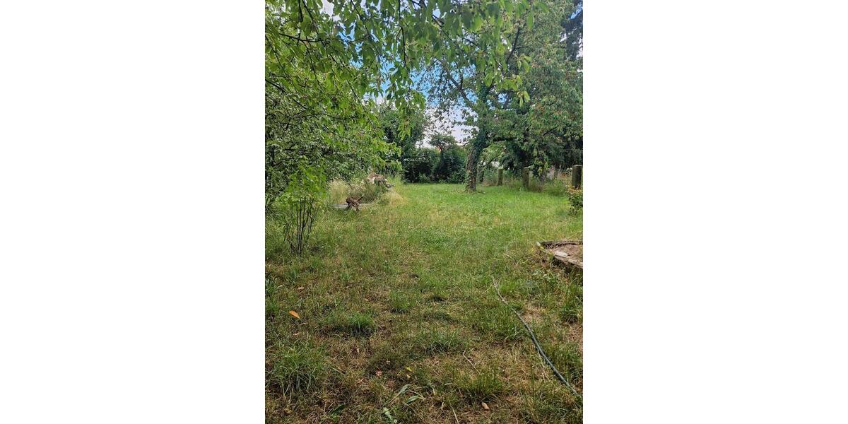 Reihenhaus Dommitzsch - 50.000&euro; | Angebot:26915429