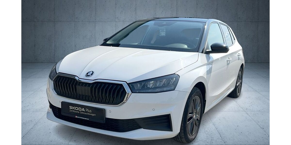 Skoda Fabia 42.948 km 14.770 &euro; Neutraubling 93073