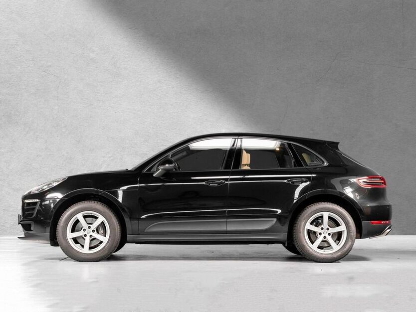 Macan