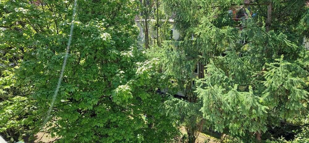Wohnung zum Mieten in Hannover 1.209 € 62 m²