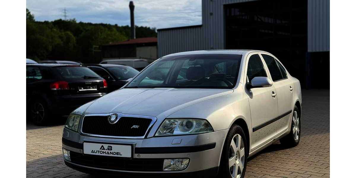 Skoda Octavia 298.000 km 1.990 &euro; Wilden (Siegerland) 57234