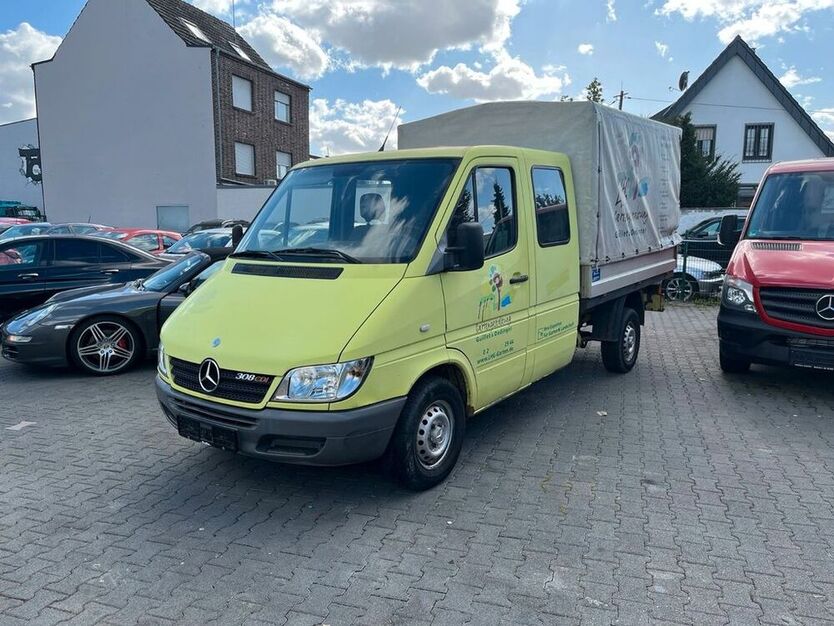 Sprinter