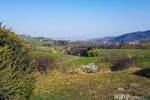 WITTNAU am Landschaftsschutzgebiet - Baugrund 525qm inkl. Holzhaus a. W. mit Infinity View + 4 Mo. Bauzeit + Angebot anbei