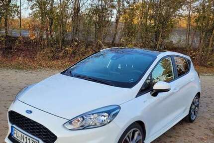Ford Fiesta 157.219 km 6.800 € Speyer 67346