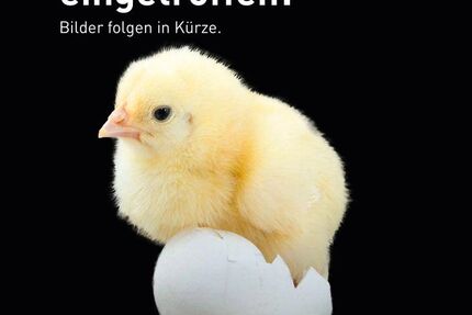 Mercedes-Benz E 450 8.200 km 98.490 &euro; Landsberg am Lech 86899