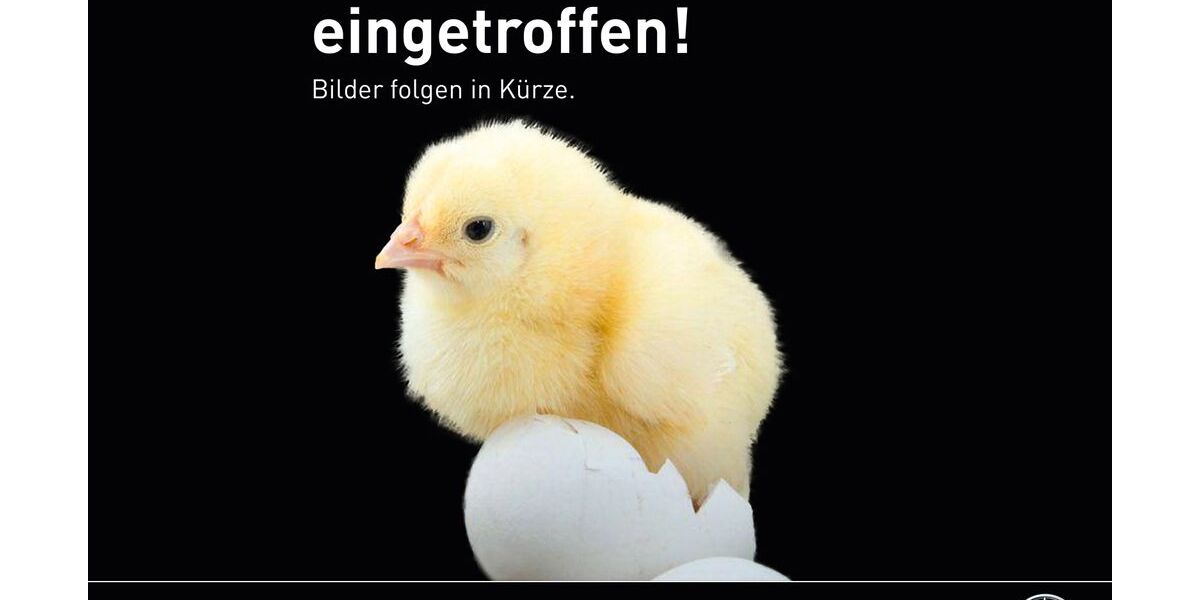 Mercedes-Benz E 450 8.200 km 98.490 &euro; Landsberg am Lech 86899