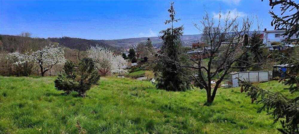 Grundstück Hergisdorf Kreisfeld - 55.000&euro; | Angebot:23972281