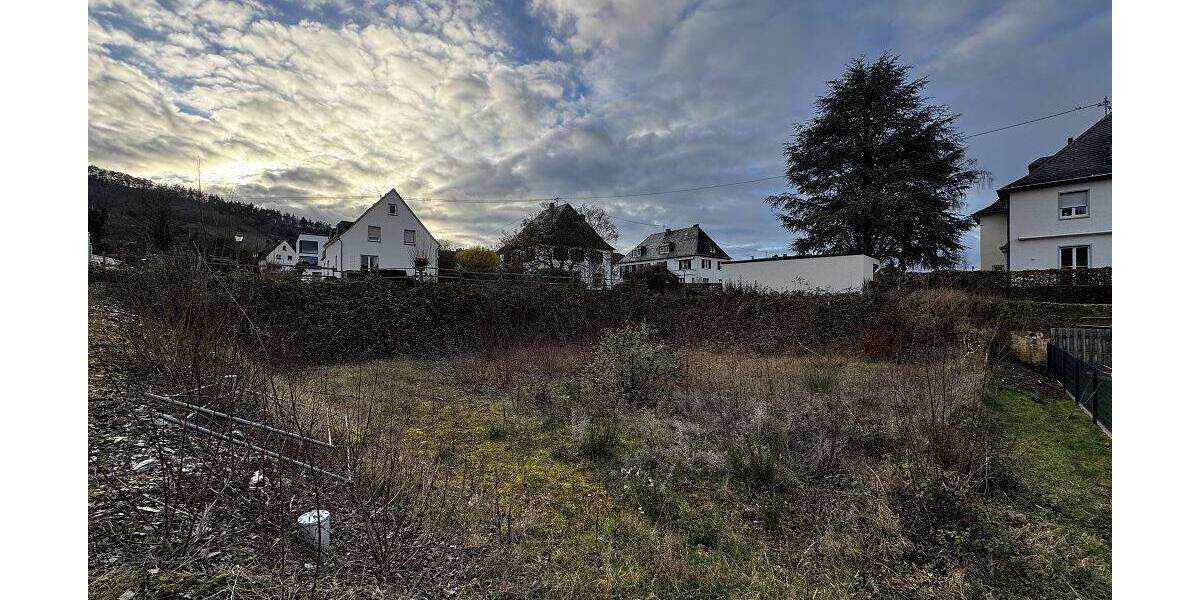 Grundstück Leiwen - 365.000&euro; | Angebot:25745149