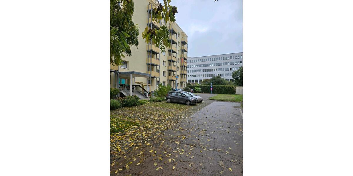 Etagenwohnung Cottbus Sachsendorf - 1 Zimmer, 37 m&sup2;, 620&euro; | Angebot:25551176