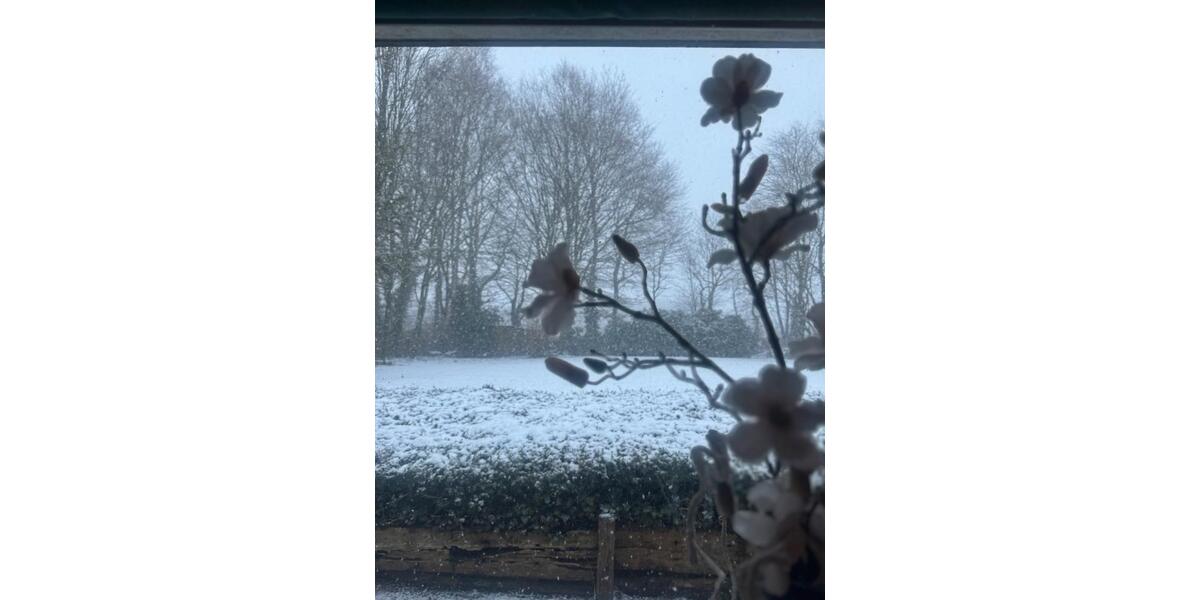 Erdgeschoßwohnung Schüttorf - 1 Zimmer, 50 m&sup2;, 800&euro; | Angebot:25373709