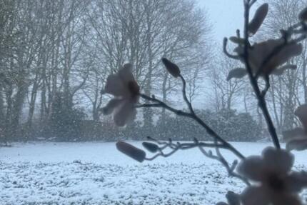 Wohnung Schüttorf - 1 Zimmer, 50 m&sup2;, 800&euro; | Angebot:25373709