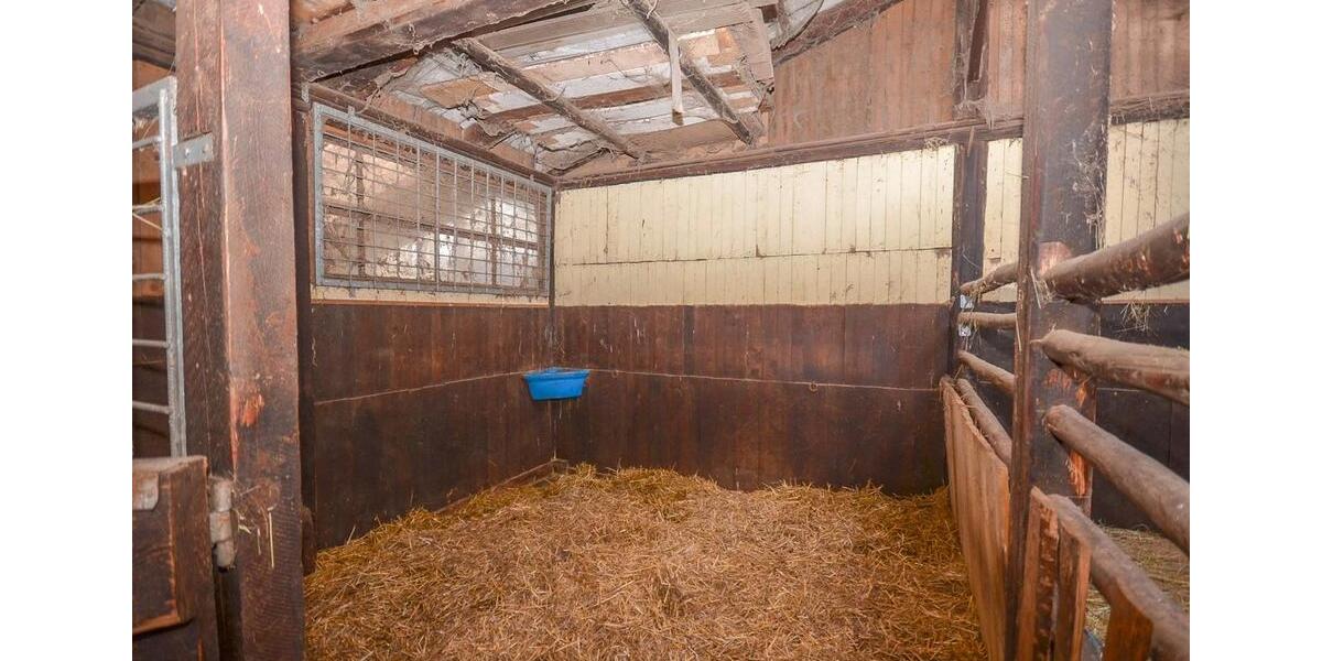 Gewerbeobjekt Seligenstadt - 1.300&euro; | Angebot:25431487