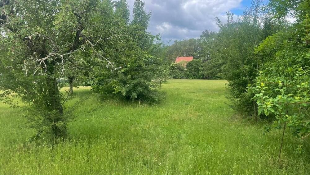 Einfamilienhaus Bernsdorf Großgrabe - 7 Zimmer, 100 m&sup2;, 30.000&euro; | Angebot:25999700