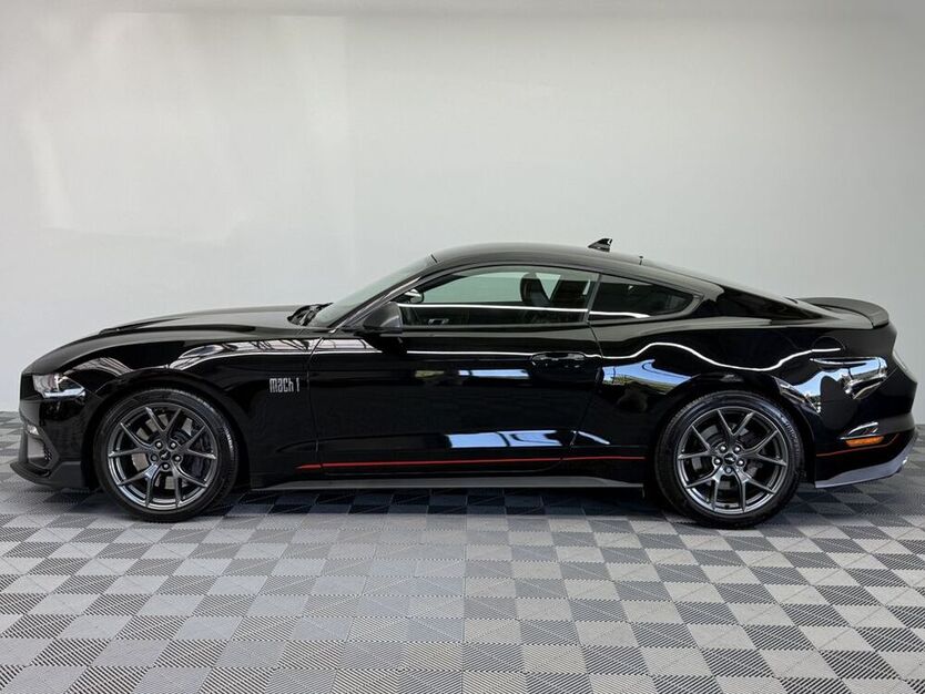Mustang