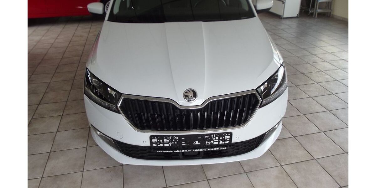 Skoda Fabia 59.800 km 14.890 &euro; Radeberg 01454