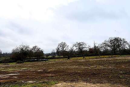 Grundstück zu verkaufen in Muggensturm 249.000 € 390 m² zimmer