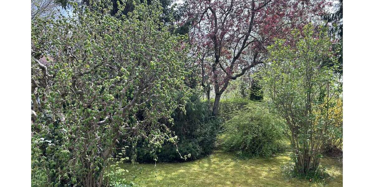 Grundstück Holzgünz - 89.000&euro; | Angebot:26943541