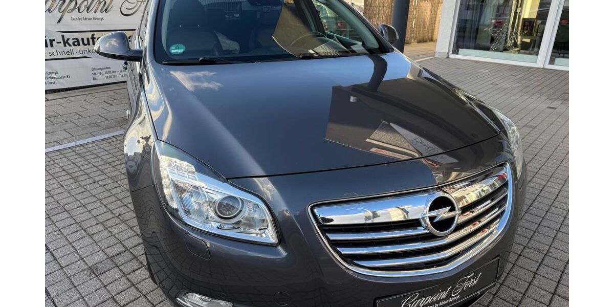 Opel Insignia 236.560 km 4.100 &euro; Forst 76694