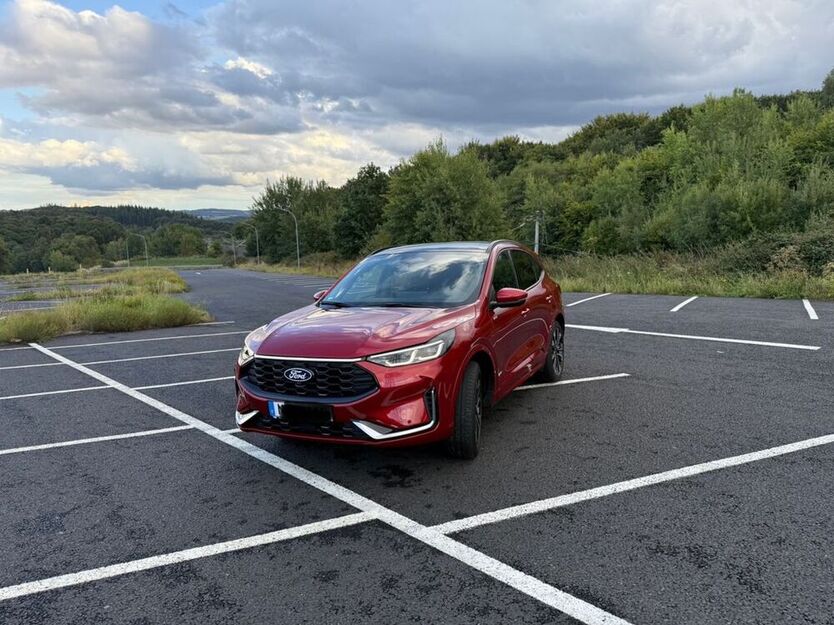 Kuga