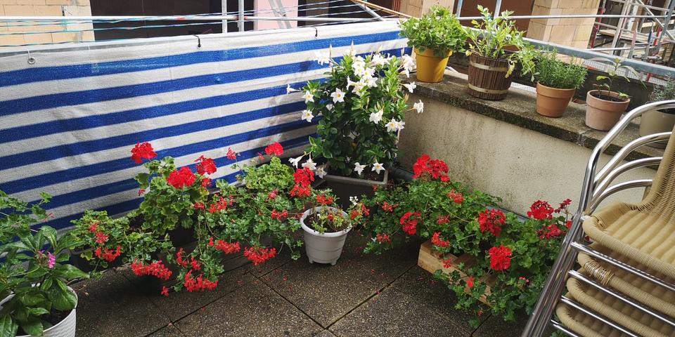 Doppelhaushälfte Ingersheim - 3.5 Zimmer, 81 m&sup2;, 1.050&euro; | Angebot:25432479