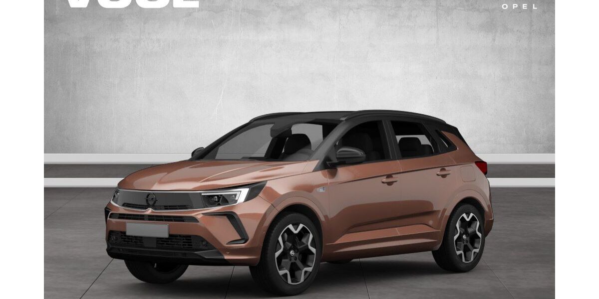 Opel Grandland (X) 4.900 km 35.910 € Altötting 84503