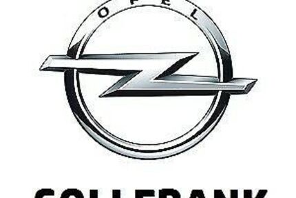 Opel Zafira Life 181.378 km 19.600 &euro; Oberviechtach 92526