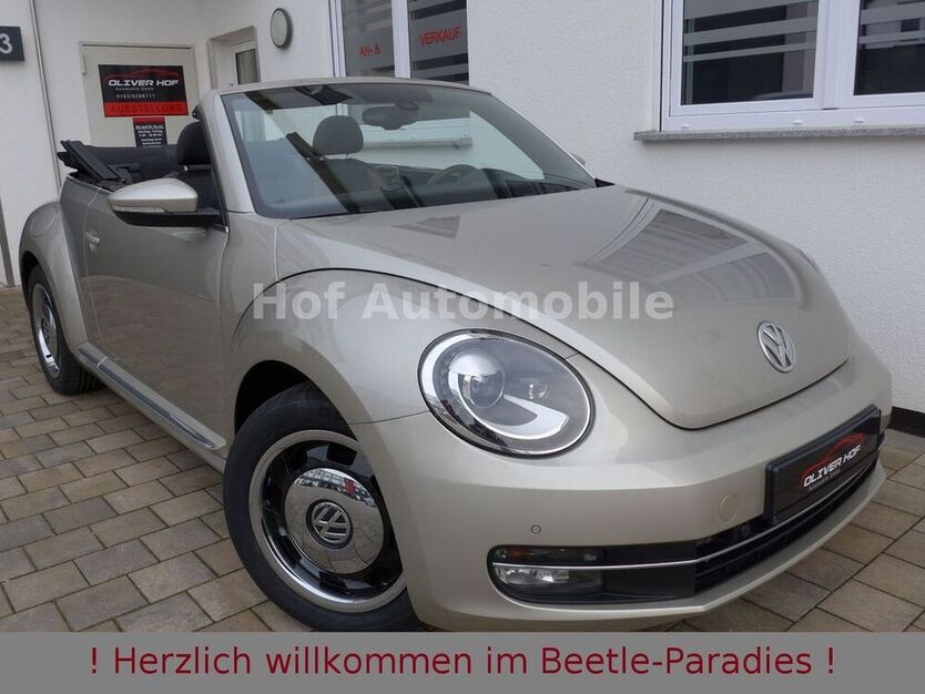 Beetle