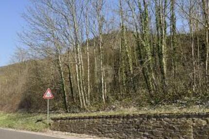 531QM EXKLUSIVES MOSELGOLDSTÜCK IN BESTLAGE - Grundstück Bullay | Angebot:26120060