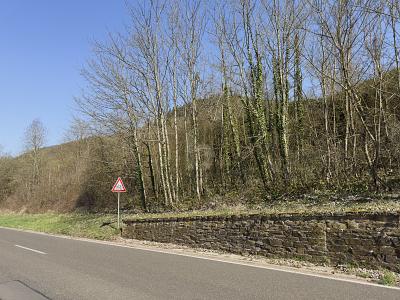 531QM EXKLUSIVES MOSELGOLDSTÜCK IN BESTLAGE - Grundstück Bullay | Angebot:26120060